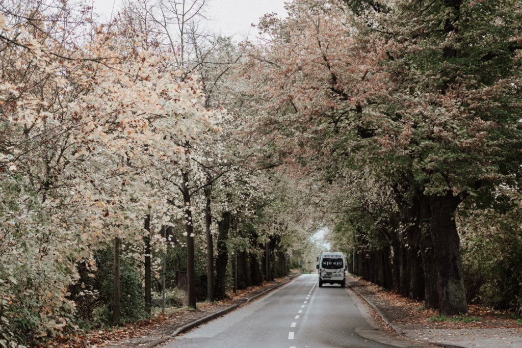 passenger van traveling along a tree-lined Michigan road with colorful autumn foliage