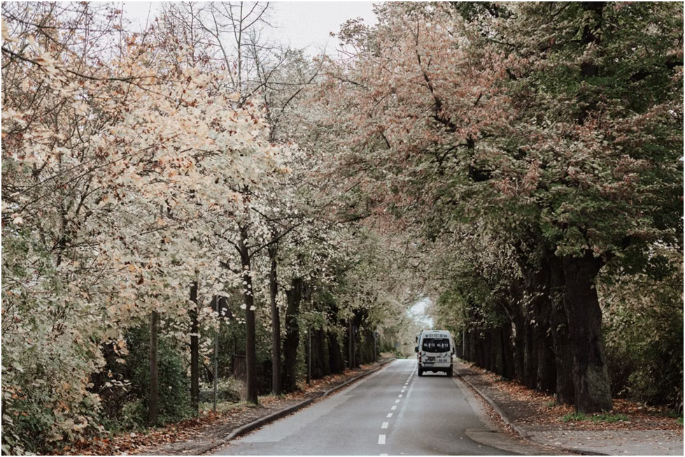 A passenger van traveling along a tree-lined road surrounded by autumn foliage